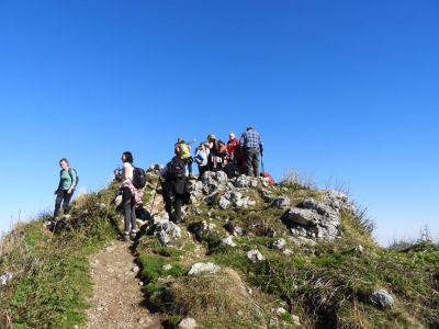 Kliknite za ogled večje slike