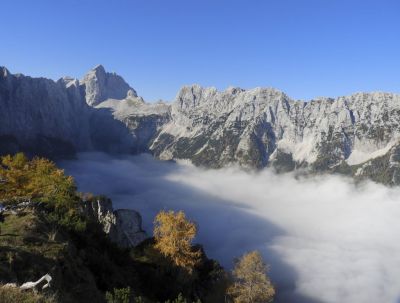Kliknite za ogled večje slike