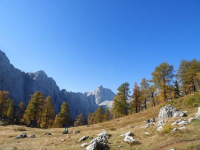 Kliknite za ogled večje slike