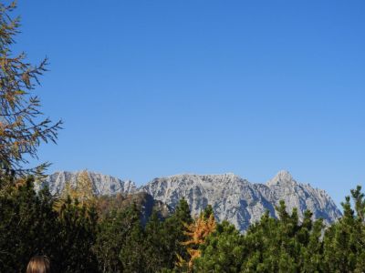 Kliknite za ogled večje slike