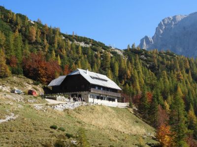 Kliknite za ogled večje slike
