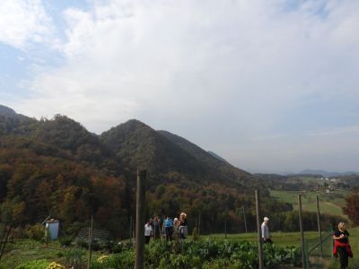 Kliknite za ogled večje slike