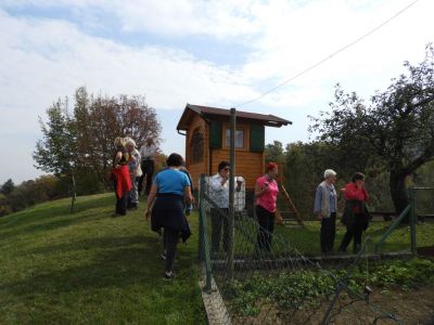 Kliknite za ogled večje slike