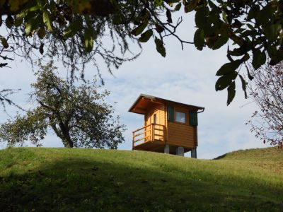 Kliknite za ogled večje slike