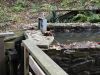 DSCN5001.JPG