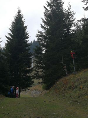 Kliknite za ogled večje slike