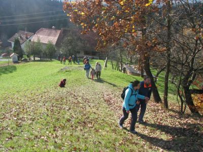 Kliknite za ogled večje slike