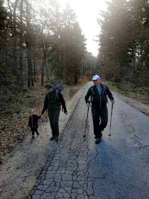 Kliknite za ogled večje slike