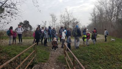 Kliknite za ogled večje slike