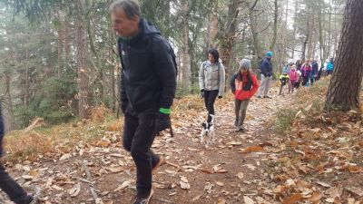 Kliknite za ogled večje slike