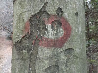 Kliknite za ogled večje slike