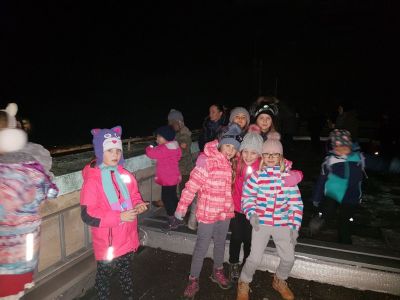 Kliknite za ogled večje slike