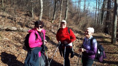 Kliknite za ogled večje slike