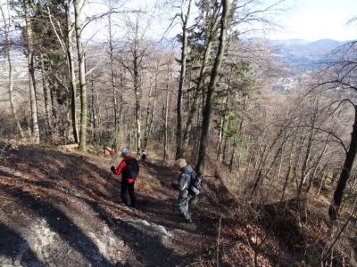 Kliknite za ogled večje slike