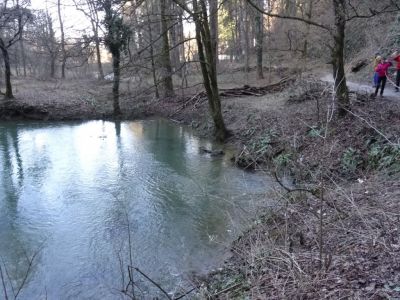 Kliknite za ogled večje slike