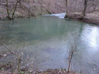 Kliknite za ogled večje slike