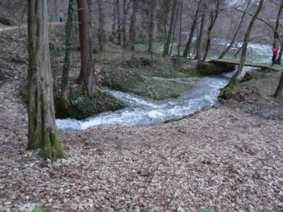 Kliknite za ogled večje slike
