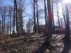 DSC03490.JPG