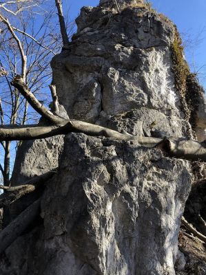 Kliknite za ogled večje slike