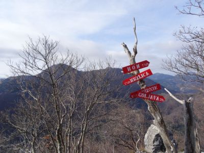 Kliknite za ogled večje slike