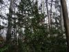 DSC03726.JPG