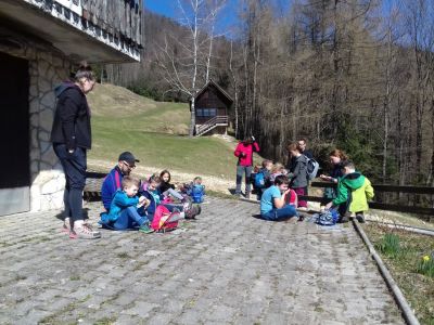 Kliknite za ogled večje slike