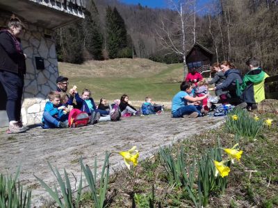 Kliknite za ogled večje slike
