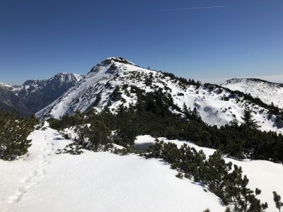 Kliknite za ogled večje slike