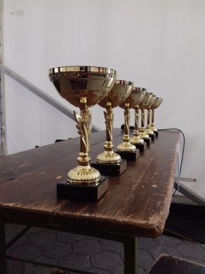 Kliknite za ogled večje slike