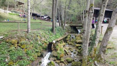 Kliknite za ogled večje slike