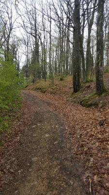 Kliknite za ogled večje slike