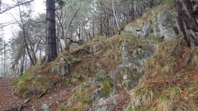 Kliknite za ogled večje slike