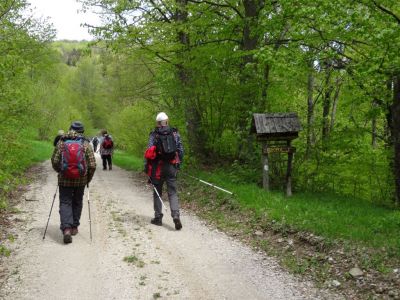 Kliknite za ogled večje slike