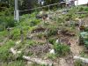 DSC04266.JPG