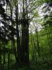 DSC04274.JPG