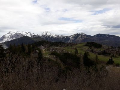 Kliknite za ogled večje slike