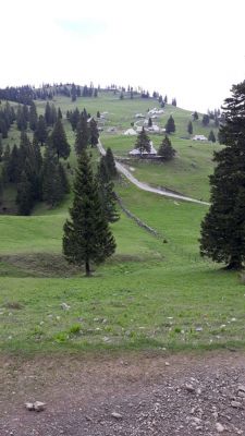 Kliknite za ogled večje slike