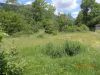 DSCN6030.JPG