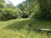 DSCN6034.JPG