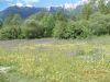 DSCN6035.JPG