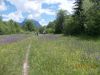 DSCN6037.JPG