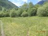 DSCN6038.JPG