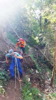 Kliknite za ogled večje slike