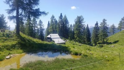 Kliknite za ogled večje slike