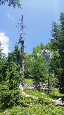 Kliknite za ogled večje slike