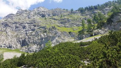 Kliknite za ogled večje slike
