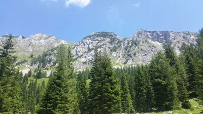 Kliknite za ogled večje slike