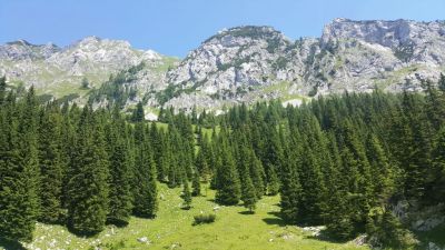Kliknite za ogled večje slike