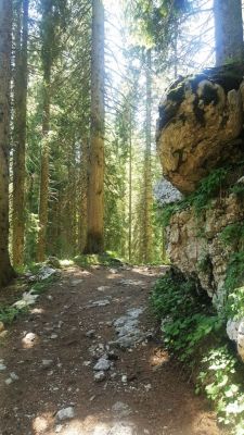 Kliknite za ogled večje slike