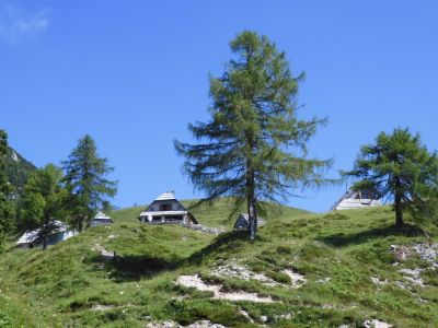 Kliknite za ogled večje slike